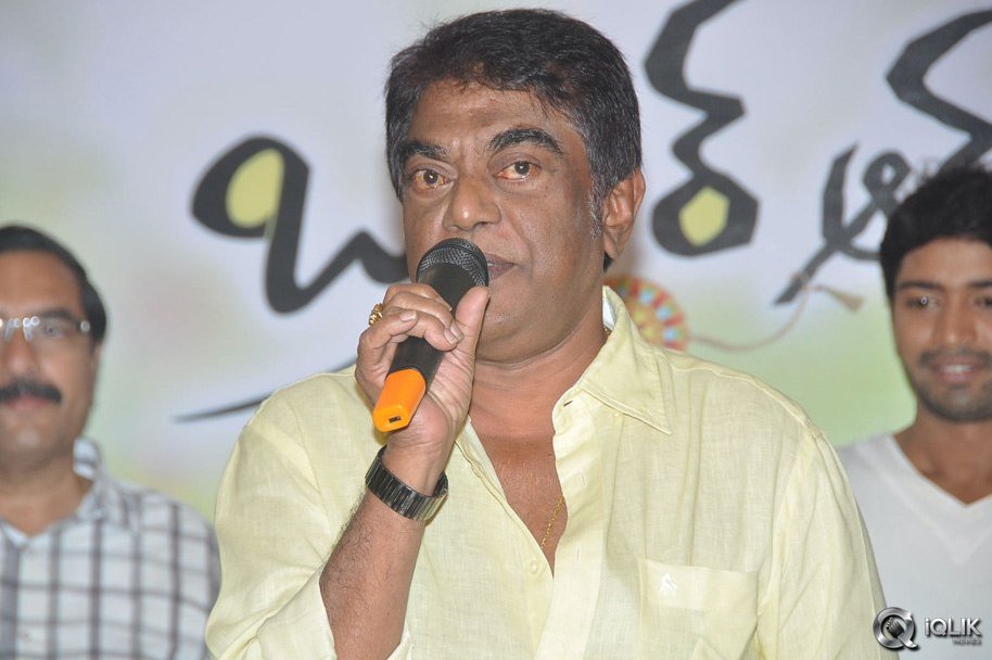 Brother-Of-Bommali-Movie-Success-Meet